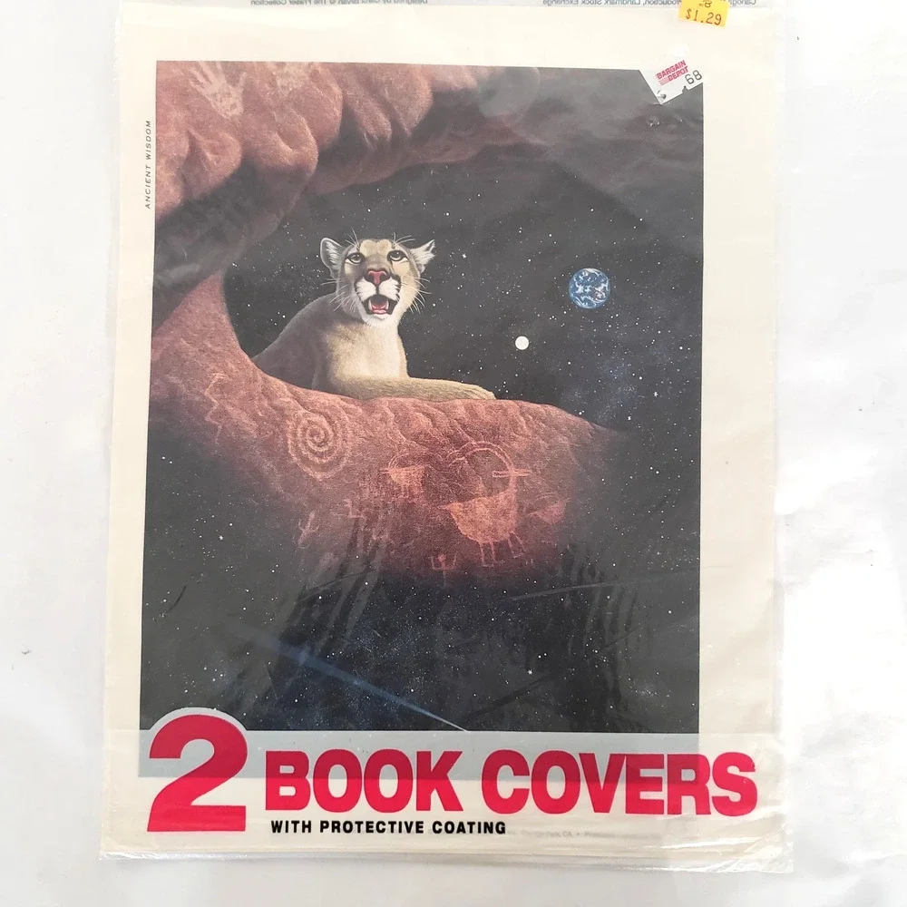 NEW!! (2) Vintage Stuart Hall Schim Schimmel Book Covers 1993 Seal 4 Total 13X20
